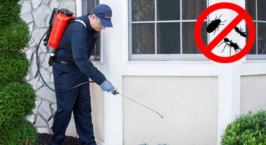 Ardeşen Hamam Böceği İlaçlama böcek ilaçlama ve haşere kontrolü — ilaclama-tr.com